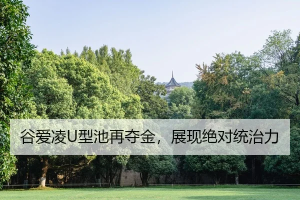 gu-ai-ling-xing-chi-zai-duo-jin-zhan-xian-jue-dui-tong-zhi-li-2-314.jpg